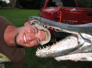 Зубы рыбы-аллигатора тонкие и острые